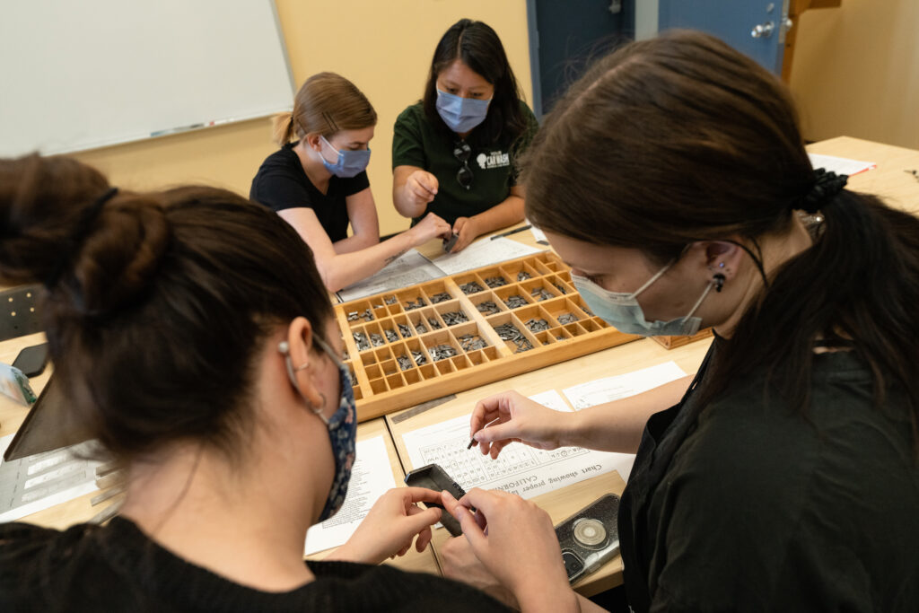 Students work in pairs to set one of Shakespeare’s sonnets in type