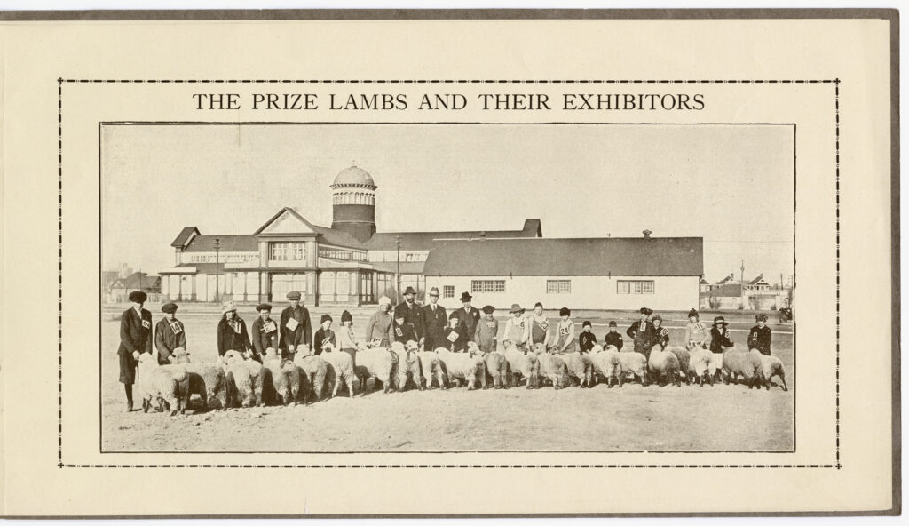 Photo of the prize lambs and their exhibitors.