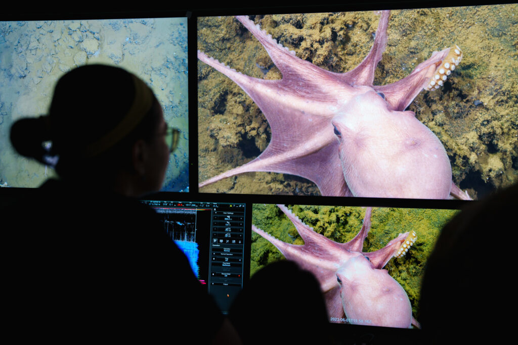 Science Acumen - How an octopus named Otto caused an aquarium