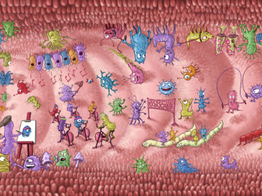 Cartoon drawing of microbiome inside human digestive system.